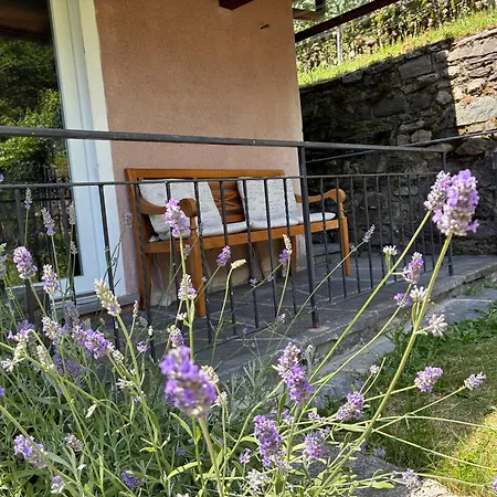 Casa Immersa Nel Vigneto Apartment Roveredo