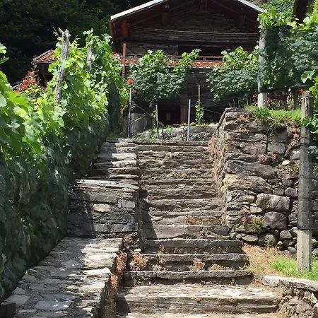 Apartment Casa Immersa Nel Vigneto