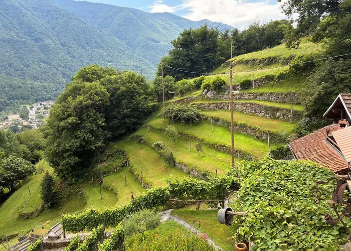 Daire Casa Immersa Nel Vigneto