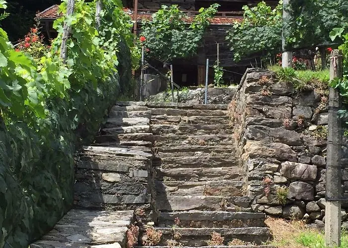 Lejlighed Casa Immersa Nel Vigneto