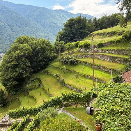Apartamento Casa Immersa Nel Vigneto